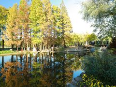 -上海共青森林公园