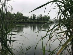 -滨湖塘西河公园