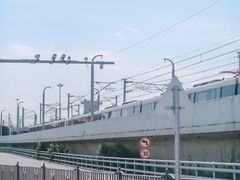 -海堤纪念公园