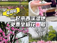 -西溪国家湿地公园