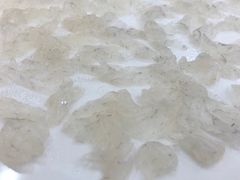 特色海鱼顺德鱼生-寻味顺德·南记酒家·传统顺德菜·鱼生(广源路店)