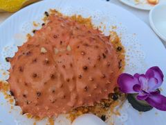-荔城生鲜盛宴(番禺旗舰店)