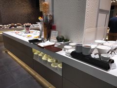 -JR东日本大都会大饭店东京城