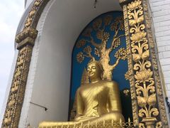 -世界和平塔