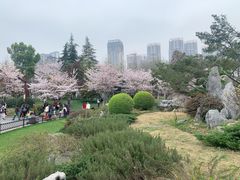 -堤角公园