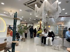 -共舞时光猫咖·狗咖(新街口店)