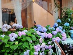 -Lamant Manor已闻花名关於蓝