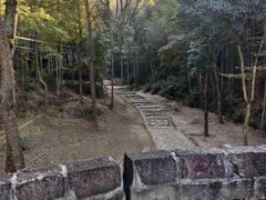 -仙霞关景区