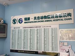 -瑞派·关忠动物医院·异宠专科·犬猫肿瘤·皮肤专科(望京店)