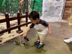 -Zoolung Zoolung动物主题公园(海信广场店)