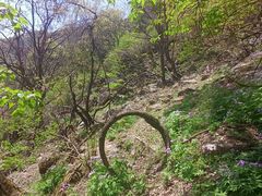 -王顺山国家森林公园