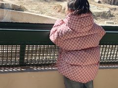 -泉城欧乐堡梦幻世界