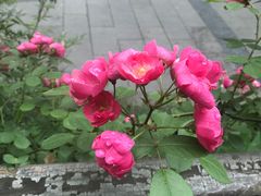 -庶民居中餐馆(花土店)