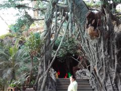 -龙达温泉生态城