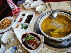-先机泉水鸡汤(南山老君洞店)