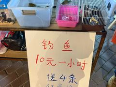 -荷兰街