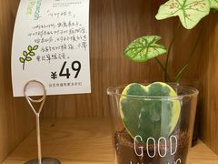 -爱欢洗ifunwash(北辰店)