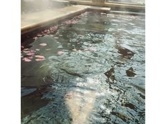 -苏州湾王焰温泉度假酒店