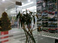 -车艺佳龙膜隐形车衣汽车贴膜(宝山丰宝店)