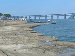-星海广场