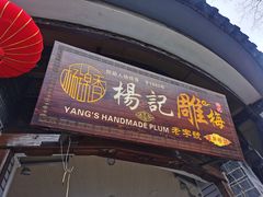 门面-杨记乳扇·雕梅