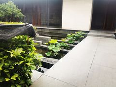 -九里云松·天香餐厅
