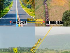 -紫藤园·天目湖大鱼头(南山竹海店)