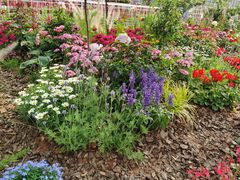 -深圳国际园林花卉博览园