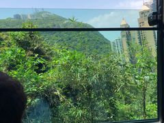 -香港杜莎夫人蜡像馆