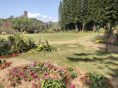-深圳仙湖植物园