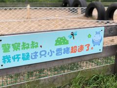 -前小桔亲子创意农场·草莓采摘·露营烧烤