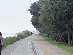 -贡湖湾湿地公园