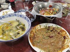 -邵年鸽(杨庄店)