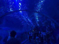 -成都浩海立方海洋公园