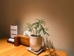 -竹里馆 ·茶食(奥体店)