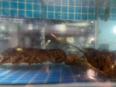 -碗中海·蒸汽海鲜·桑拿鸡(岭南天地店)