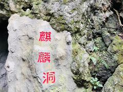 -黔灵山公园