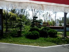 -武清南湖绿博园