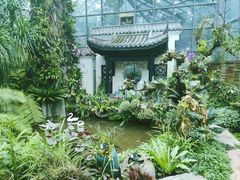-东莞植物园