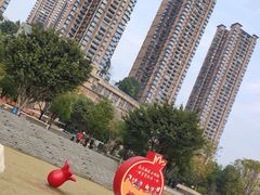 -重庆彩云湖湿地公园