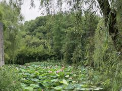 -大宁灵石公园西门票处