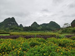 -靖西鹅泉风景区
