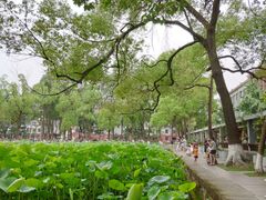 -四川大学(望江校区)