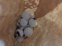 -北京稻香村(五道口店)