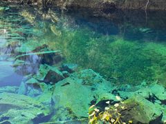 -叠溪松坪沟景区