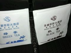 -圣爵菲斯大酒店(长沙世界之窗店)