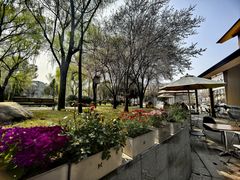 -唐城墙遗址公园