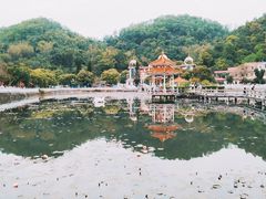 -红山村