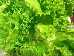 -海月轩海鲜豆捞(紫金塔店)