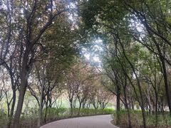 -郑州植物园